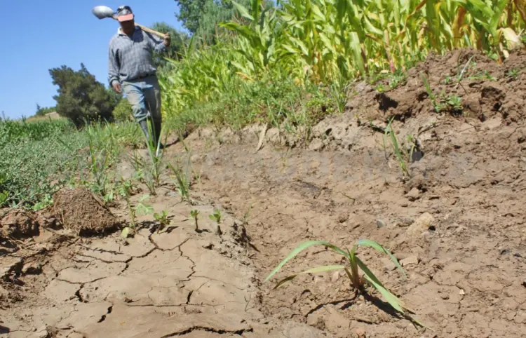 Sede de Simposio sobre Agricultura Sostenible