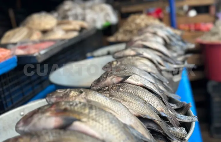 Sin incremento en los precios de mariscos