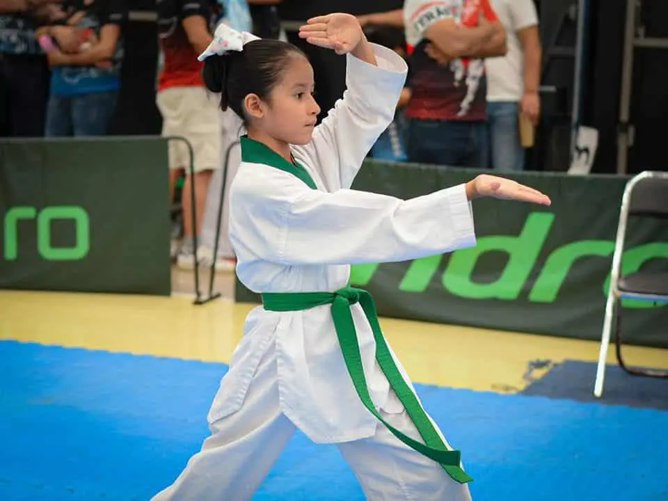 Atletas de distintas categorías se darán cita en este torneo abierto de Tae Kwon Do. Cortesía
