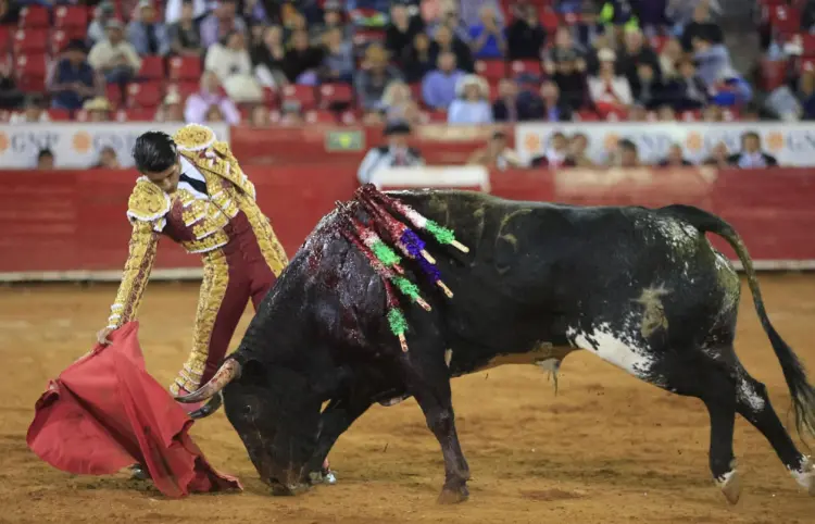 Regulación de tauromaquia finaliza maltrato animal
