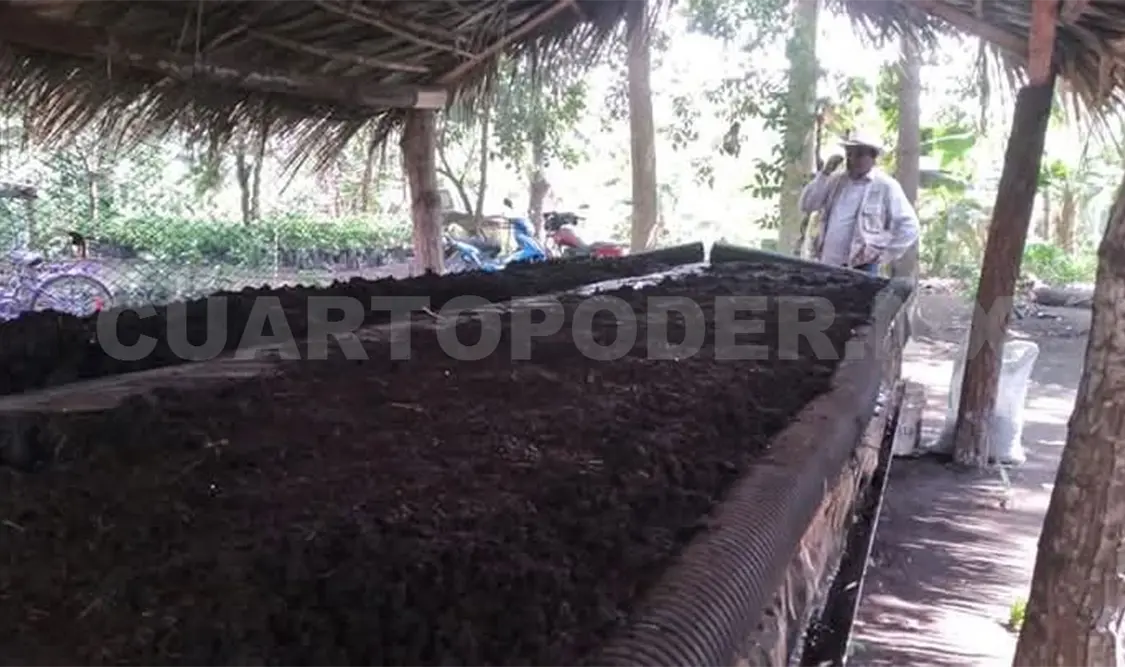 La lombricomposta no es atractiva para agricultores