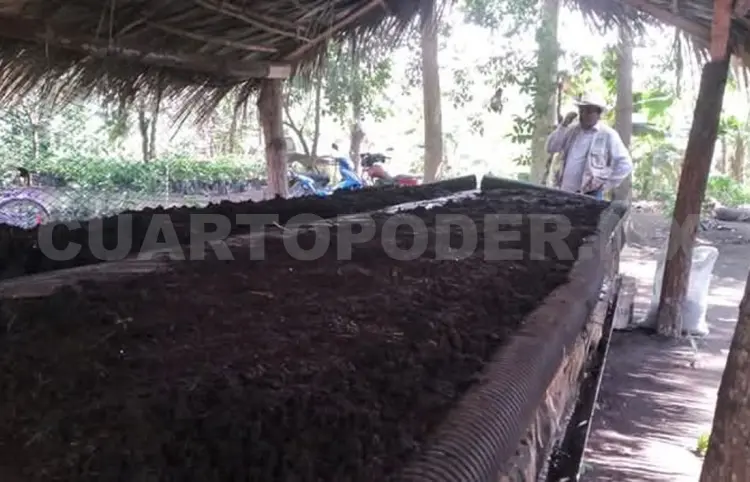 La lombricomposta no es atractiva para agricultores