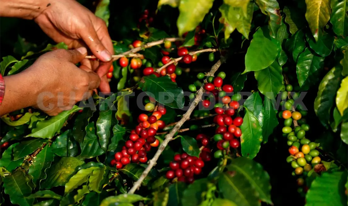 El campo ha sido prioridad