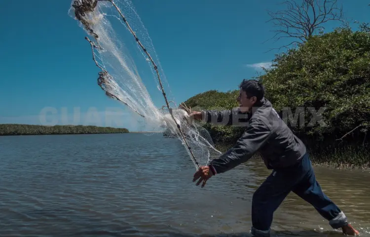 Consumo per cápita de mariscos debe aumentar