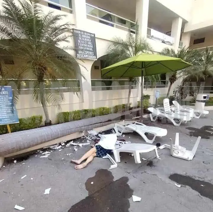 Le cae una palmera a huésped y perece