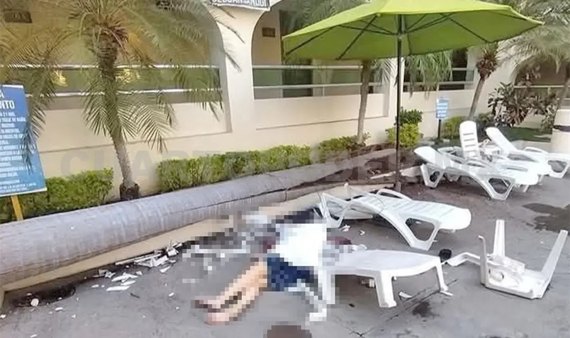 Le cae una palmera a huésped y perece