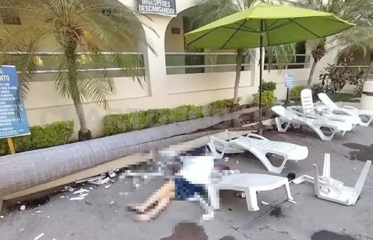 Le cae una palmera a huésped y perece