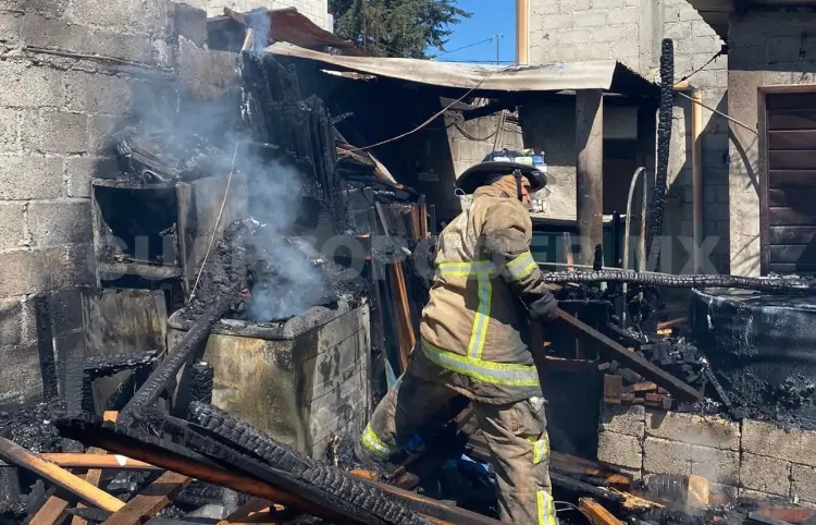 Se incendia vivienda y perros mueren intoxicados