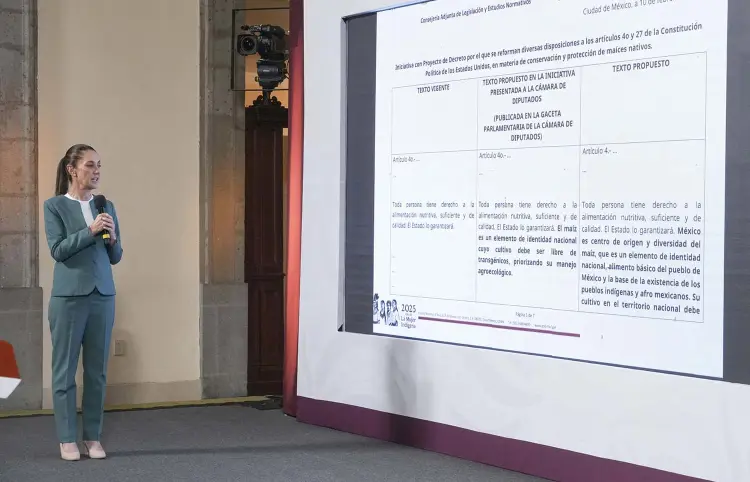 Anuncian seis acciones contra el delito de desaparición