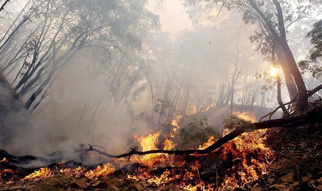 Detectan puntos de calor en la entidad