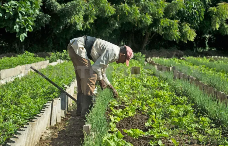 Avanzan hacia una agricultura regenerativa