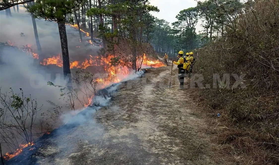 Voraz incendio consume reserva de La Sepultura