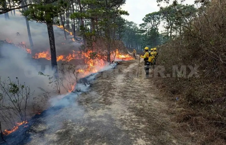 Voraz incendio consume reserva de La Sepultura