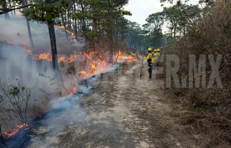 Voraz incendio consume reserva de La Sepultura