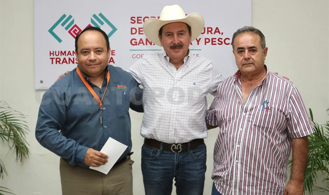 Chiapas impulsa la sanidad porcícola