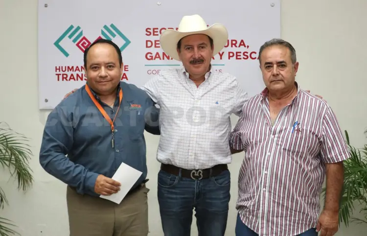 Chiapas impulsa la sanidad porcícola