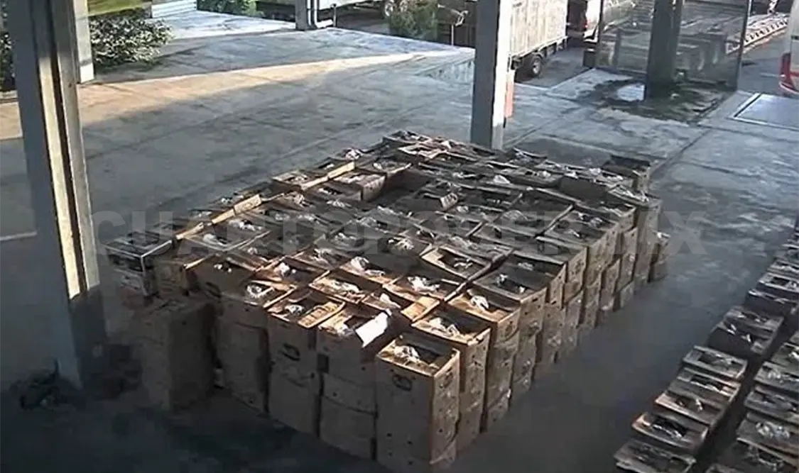 Le dan 10 años de prisión por transportar cocaína