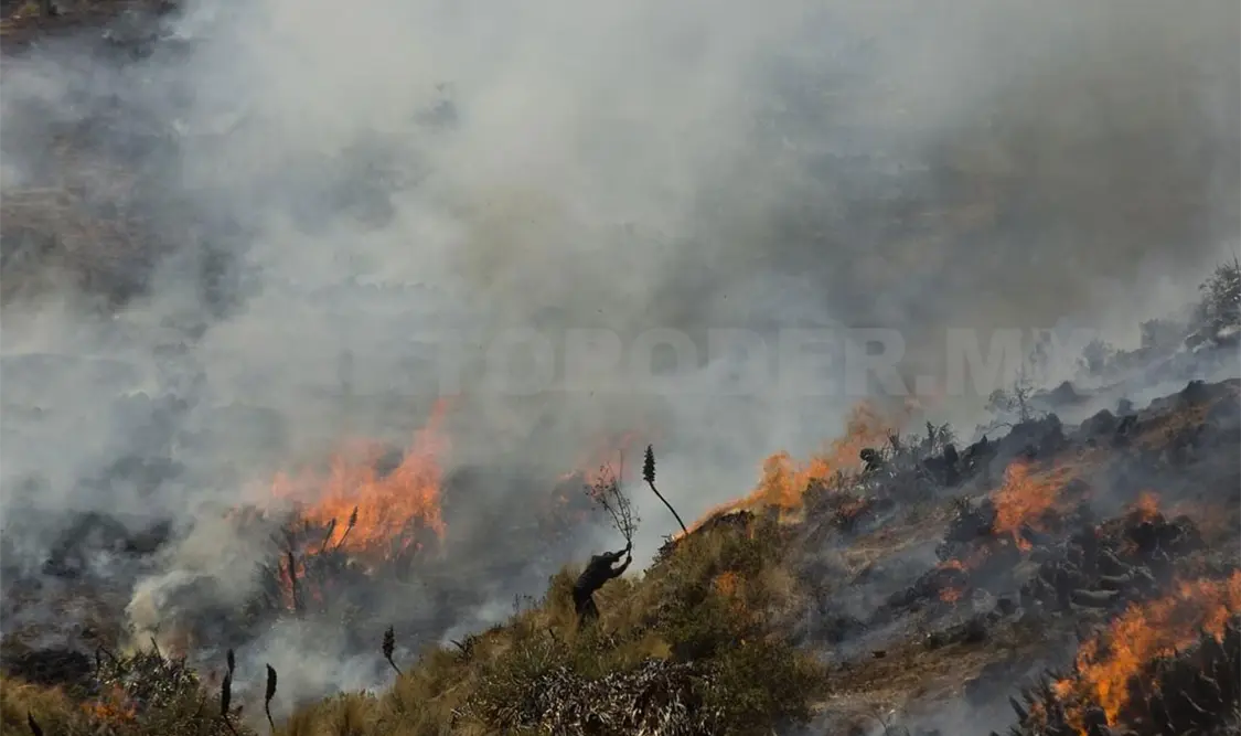 Incendio en La Sepultura arrasa con 450 hectáreas