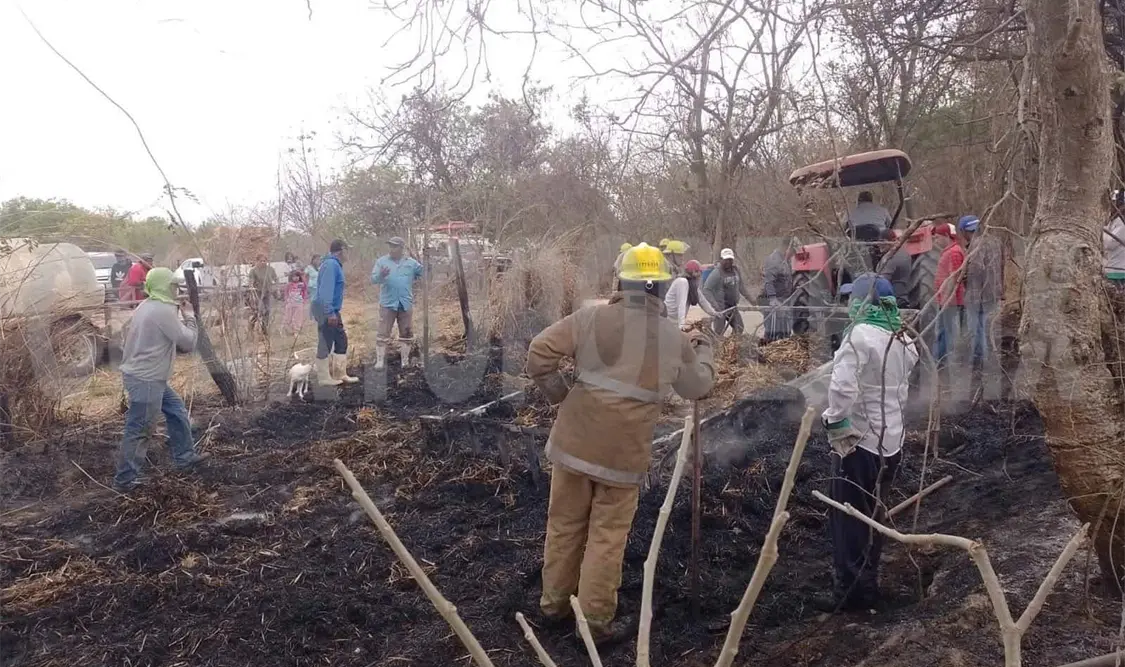 Arde en llamas remolque con pastura