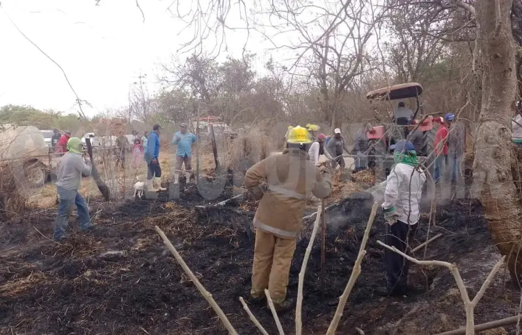 Arde en llamas remolque con pastura