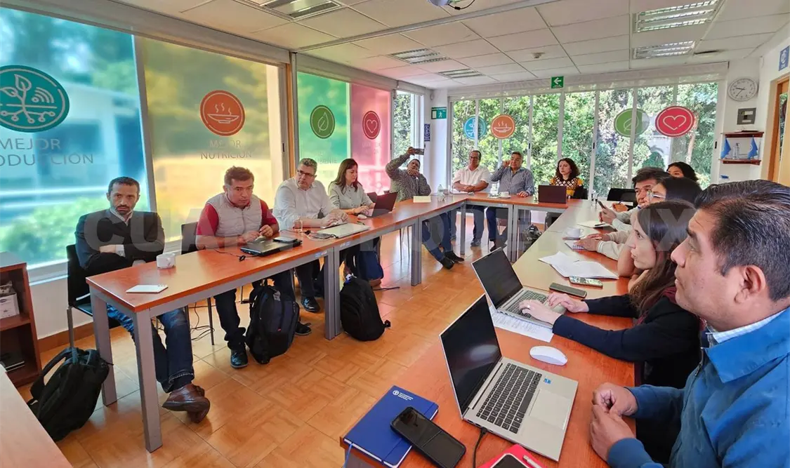 Durante la reunión entre representantes y autoridades de Chiapas. Cortesía