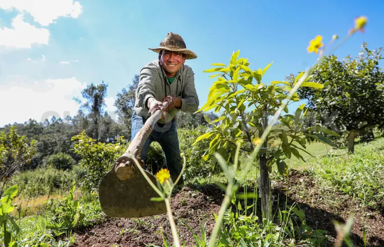 Bases zapatistas viven en una situación crítica
