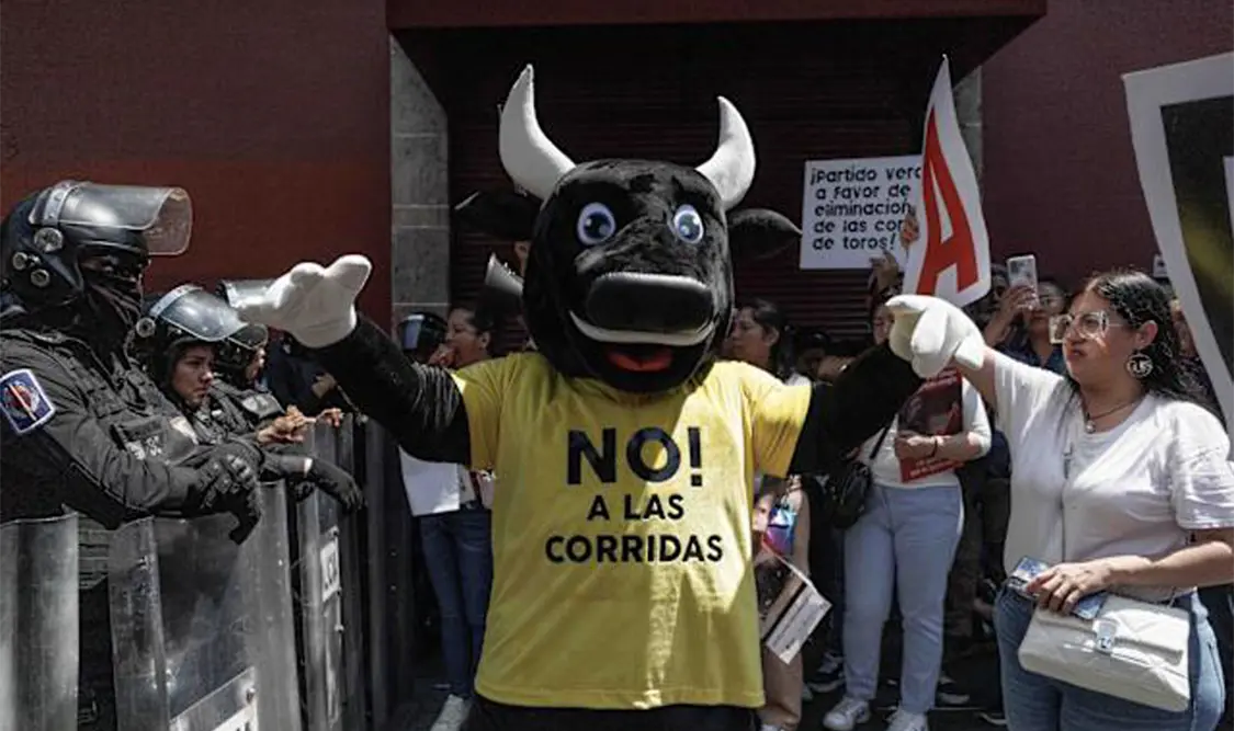 Ley a prohibición a corridas de toros, dentro de 210 días