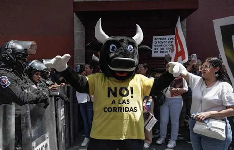 Ley a prohibición a corridas de toros, dentro de 210 días