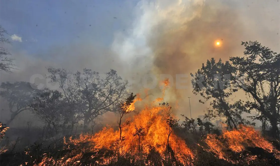 Liquidan incendio en La Sepultura; quemó 450 ha