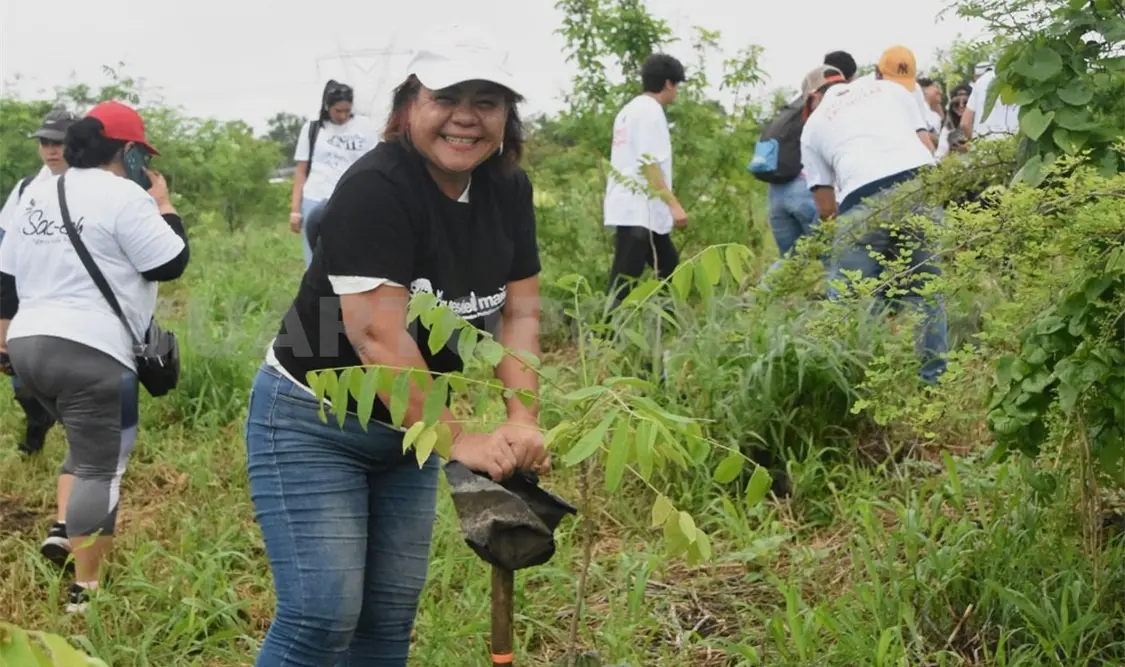 Sembraron miles de árboles en campaña