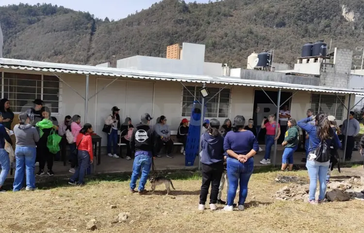 Éxito en la campaña de esterilización