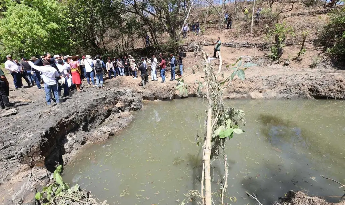 Impulsan la restauración de microcuencas