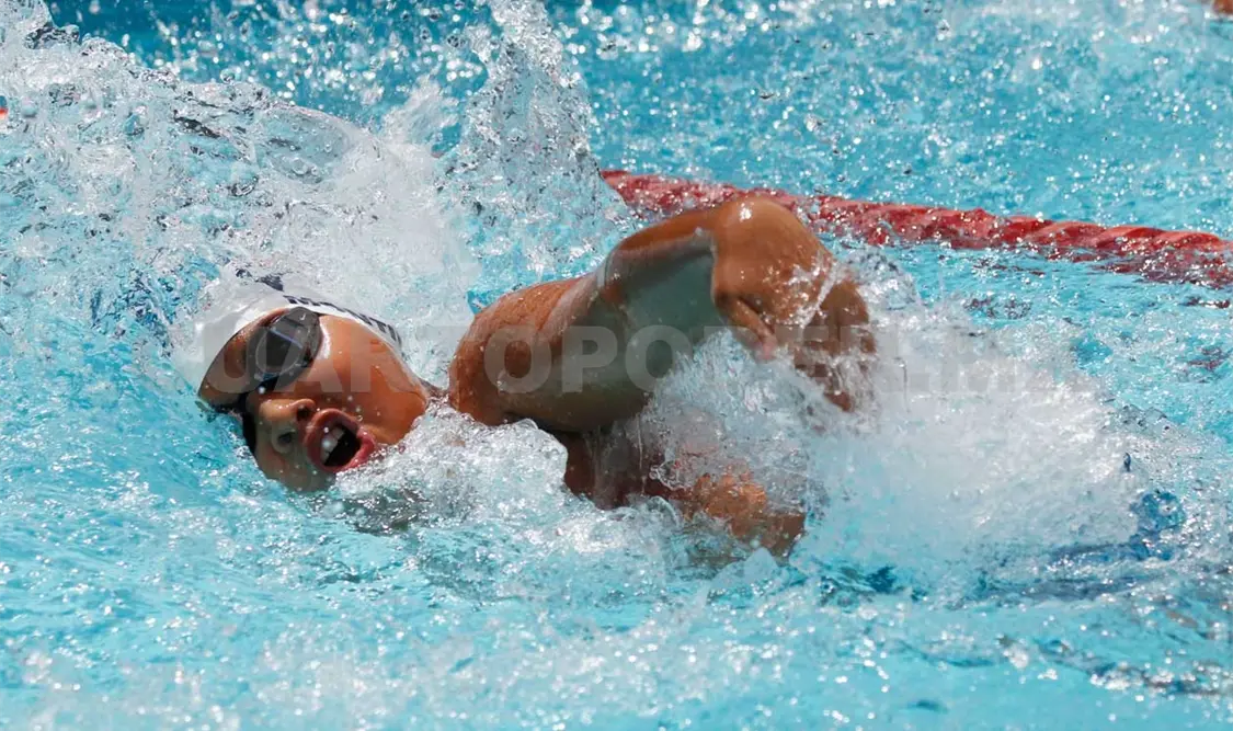 Implantan 13 nuevas marcas