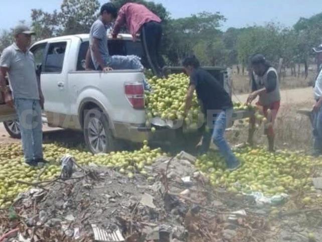 Tiran mango por bajos precios