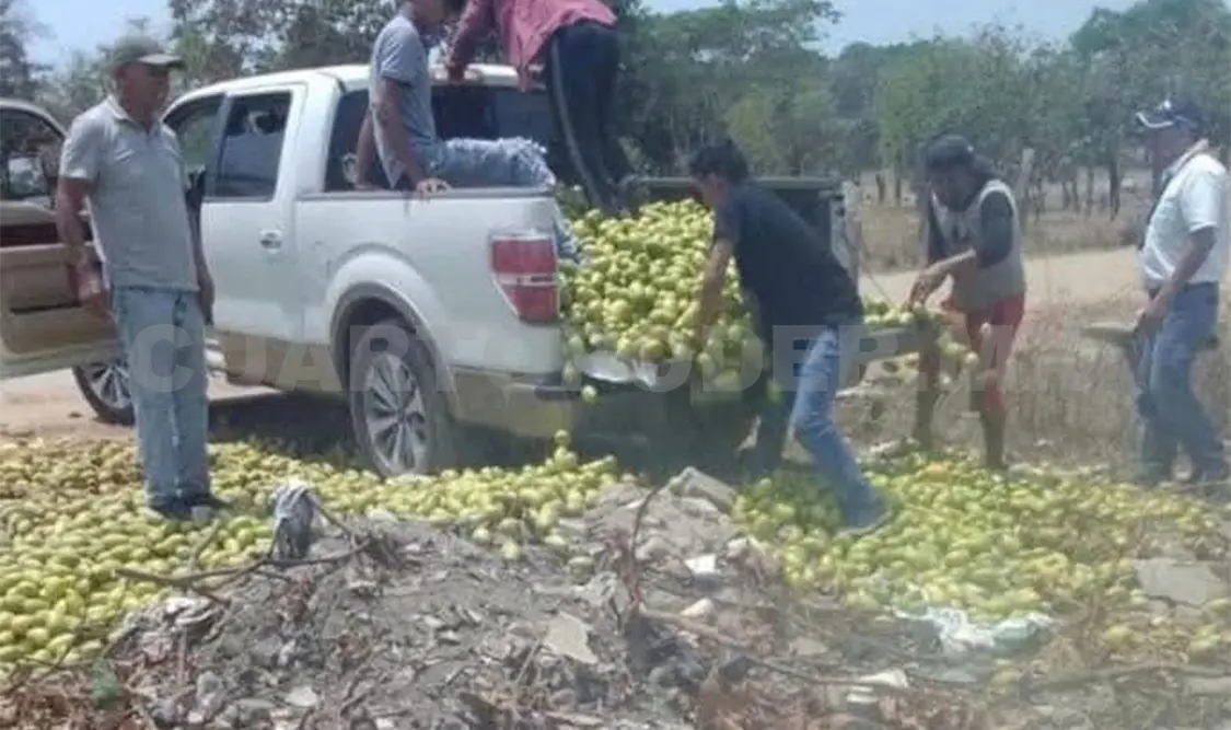 Tiran mango por bajos precios