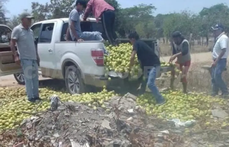 Tiran mango por bajos precios