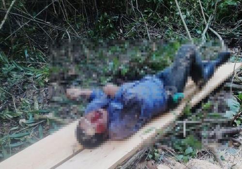 Venadean a hombre mientras talaba árbol