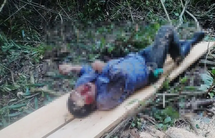 Venadean a hombre mientras talaba árbol