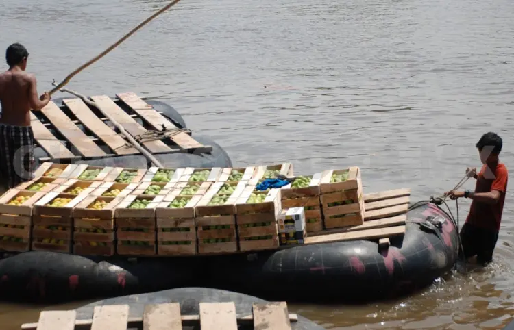 Advierten riesgo por contrabando de frutas