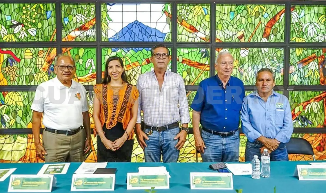 Invitan al Festival del Mango Ataulfo
