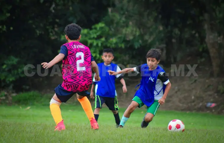 Yajalón se alista para el Torneo Chiapas 2025