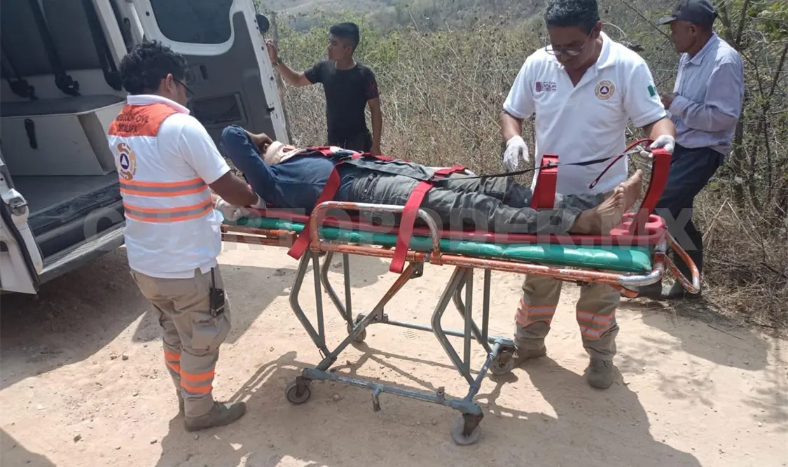 Le cae un árbol encima y termina en el hospital