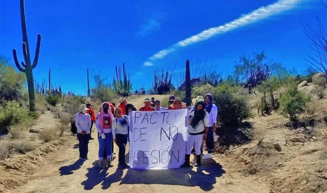 Colectivos piden “pacto” al crimen organizado