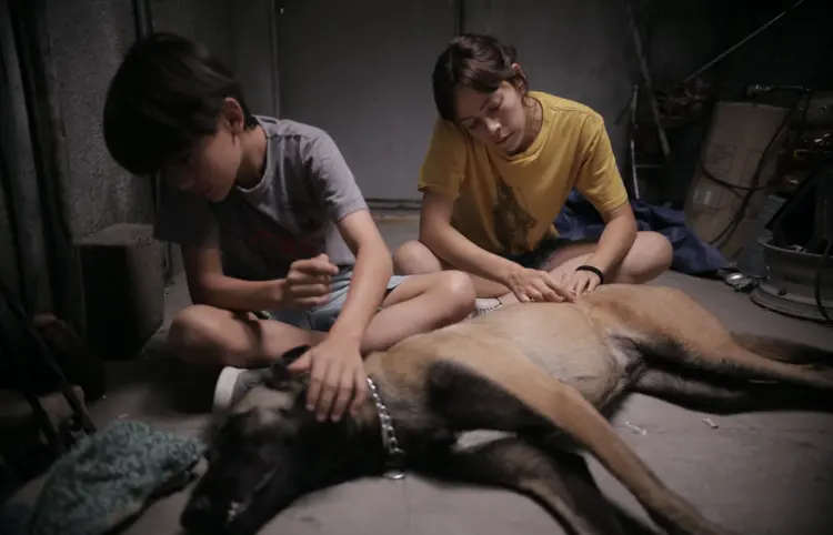 Perros brillan en el set y en el corazón