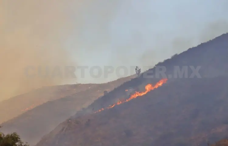 Reportan incendios forestales activos