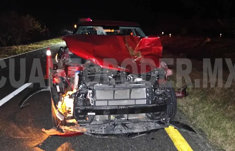 Impacta a vacas en la carretera Costera