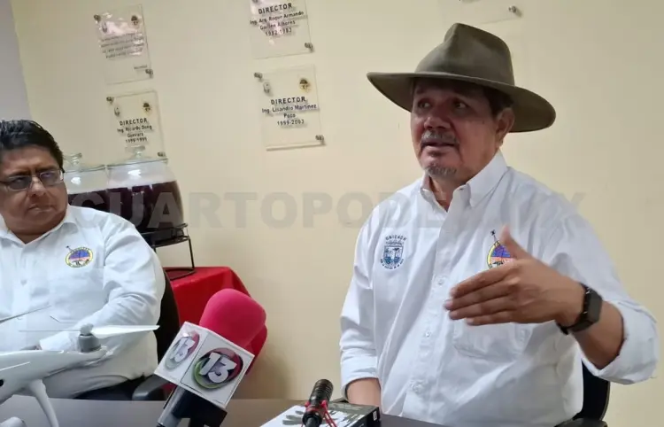 Parques eólicos causan impacto ambiental
