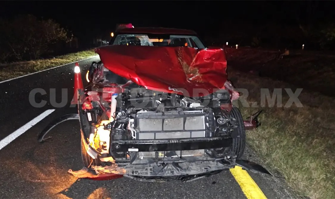 Impacta a vacas en la carretera Costera
