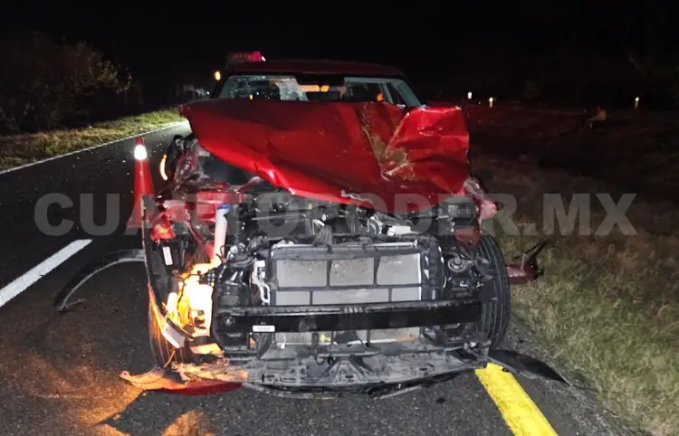 Impacta a vacas en la carretera Costera