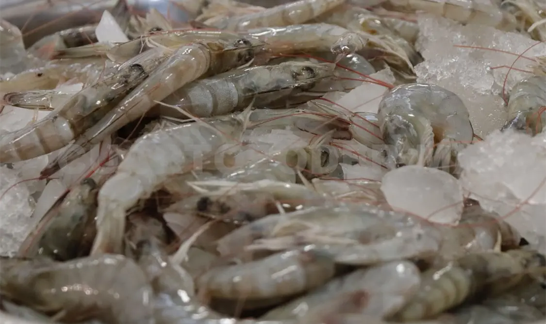 Pescados y mariscos mantienen sus costos